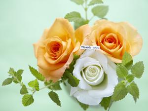 オリジナルプリントのマグカップを作ろう